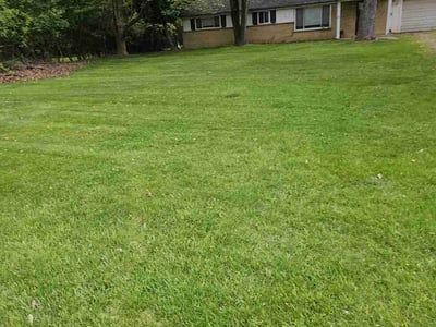 Lawn care service in Southfield, 48033