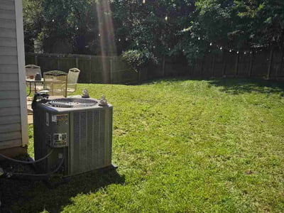 Lawn care service in Charlotte, 28269