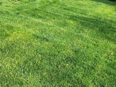 Lawn care service in Des Moines, 50320