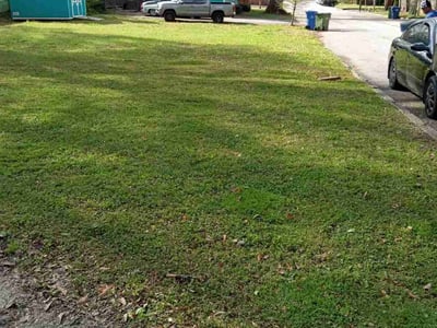 Lawn care service in Atlanta, 30310
