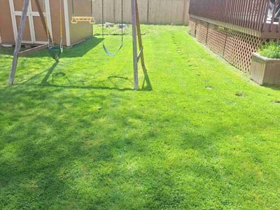 Lawn care service in Bothell, 98012