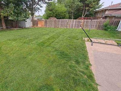 Lawn care service in Omaha, 68144