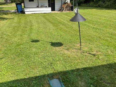 Lawn care service in Lansing, 48911