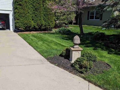 Lawn care service in Madison, 53704