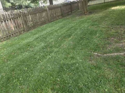 Lawn care service in Fredericksburg, 22406