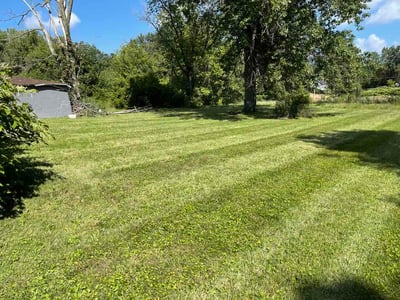 Lawn care service in Mansfield, 44903