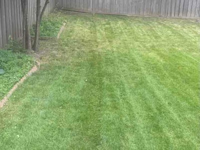 Lawn care service in St. Louis Park, 55426