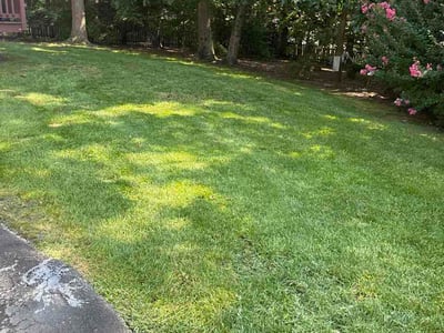 Lawn care service in Midlothian, 23114