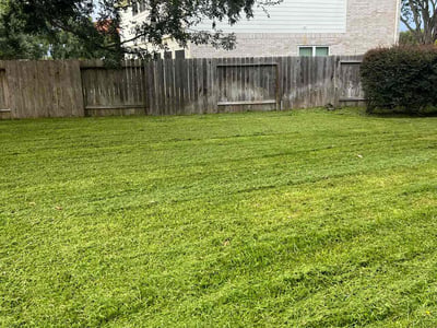 Lawn care service in Houston, 77095