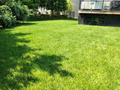 Lawn care service in Beavercreek, 45431