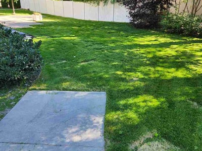 Lawn care service in Provo, 84604