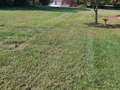 Lawn care service in Lincolnton, 28092