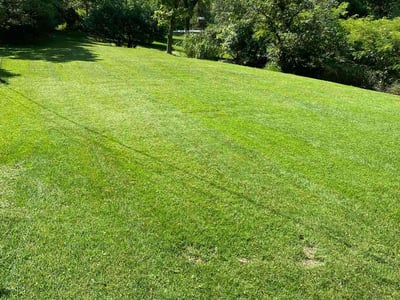 Lawn care service in Saint Ann, 63074