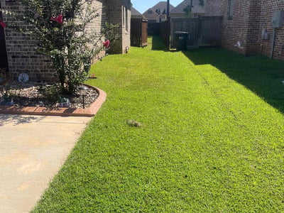 Lawn care service in Kathleen, 31047