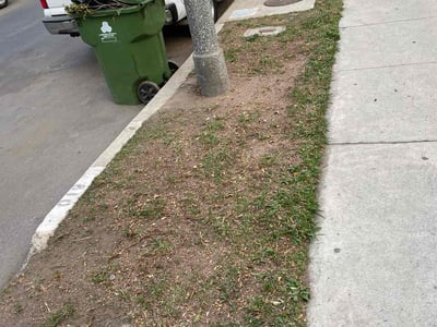 Lawn care service in , 