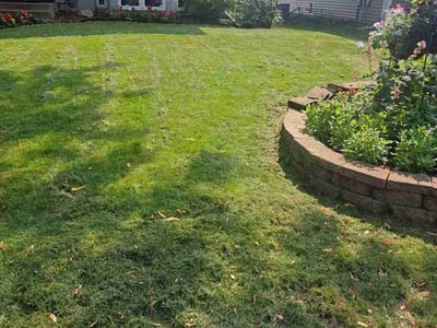Lawn care service in Woodbury, 55125