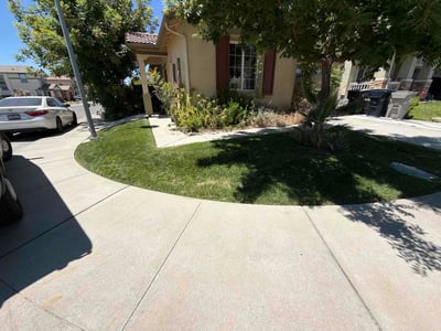 Lawn care service in Sacramento, 95838