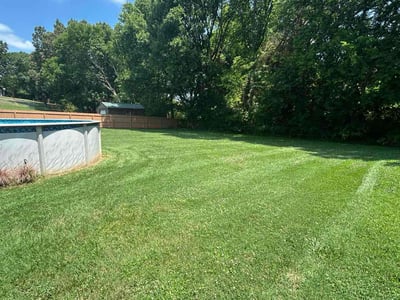 Lawn care service in Seymour, 37865