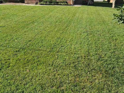 Lawn care service in Colonial Heights, 23834