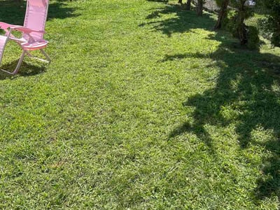 Lawn care service in Pawtucket, 02861