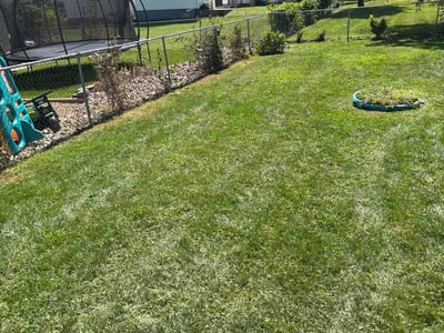 Lawn care service in Waterloo, 50702