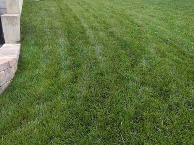 Lawn care service in Lancaster, 29720