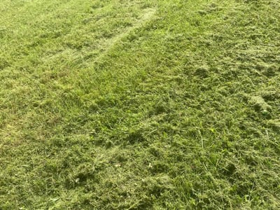 Lawn care service in La Vergne, 37086