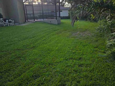 Lawn care service in Tampa, 33647