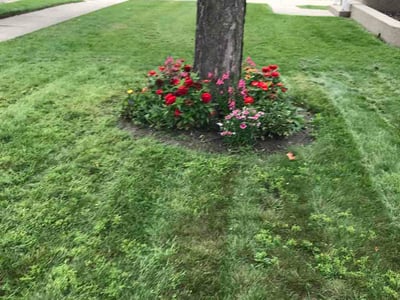 Lawn care service in Kenosha, 53143