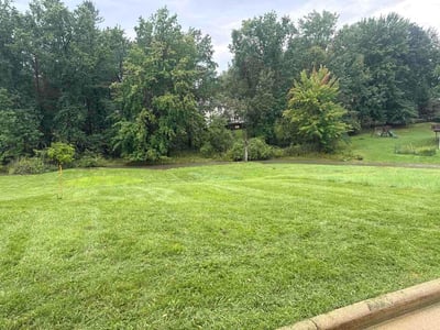 Lawn care service in Willoughby, 44094