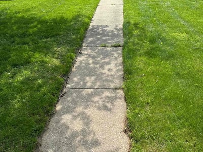 Lawn care service in Sterling Heights, 48312