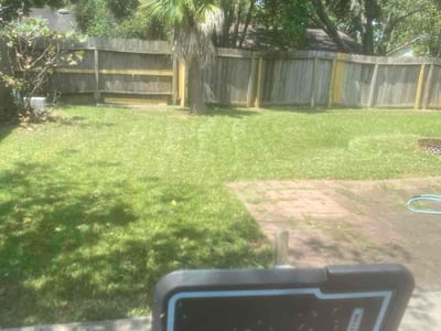 Lawn care service in Sugar Land, 77498