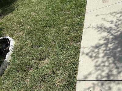Lawn care service in Ruskin, 33570