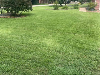 Lawn care service in Conroe, 77302