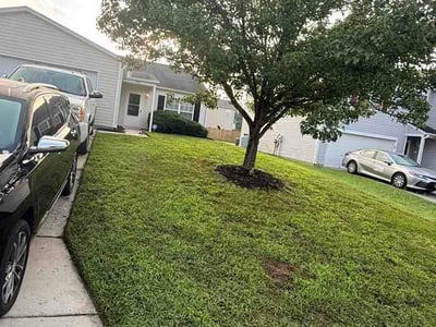 Lawn care service in Greensboro, 27406