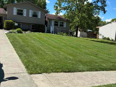 Lawn care service in North Royalton, 44133