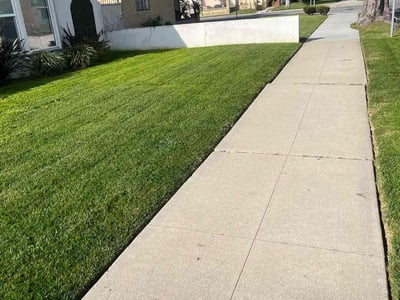 Lawn care service in Inglewood, 90305