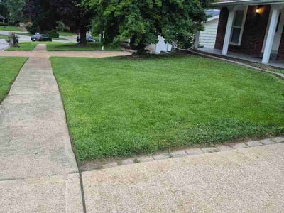 Lawn care service in Ferguson, 63135