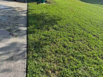 Lawn care service in Port Charlotte, 33952