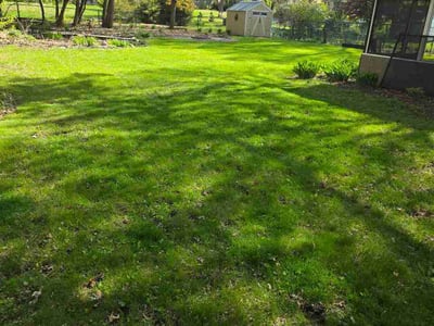 Lawn care service in Roseville, 55113