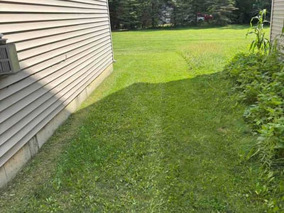 Lawn care service in Indianapolis, 46268