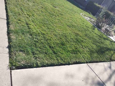 Lawn care service in Salida, 95368