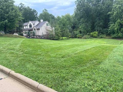 Lawn care service in Willoughby, 44094