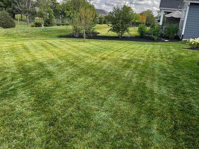 Lawn care service in Westfield, 46074
