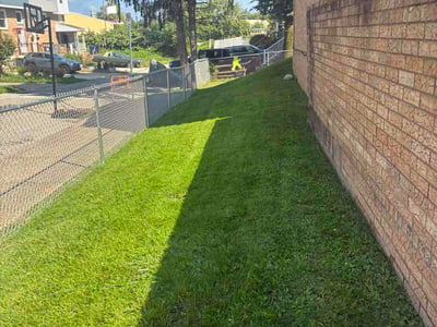 Lawn care service in Pittsburgh, 15206