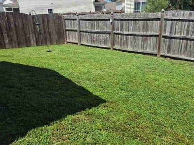 Lawn care service in Greenville, 27834