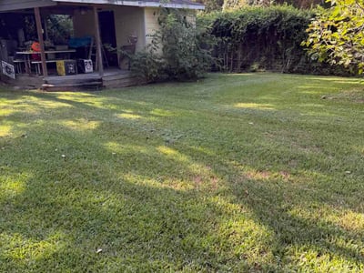 Lawn care service in Spring, 77389