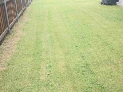 Lawn care service in Wylie, 75098