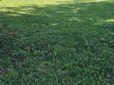 Lawn care service in Plainfield, 46168