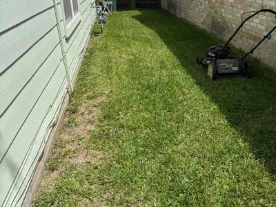 Lawn care service in Houston, 77082